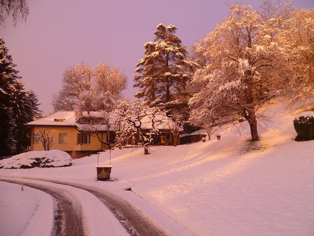 Il Colombé B&B Barzanò Esterno foto
